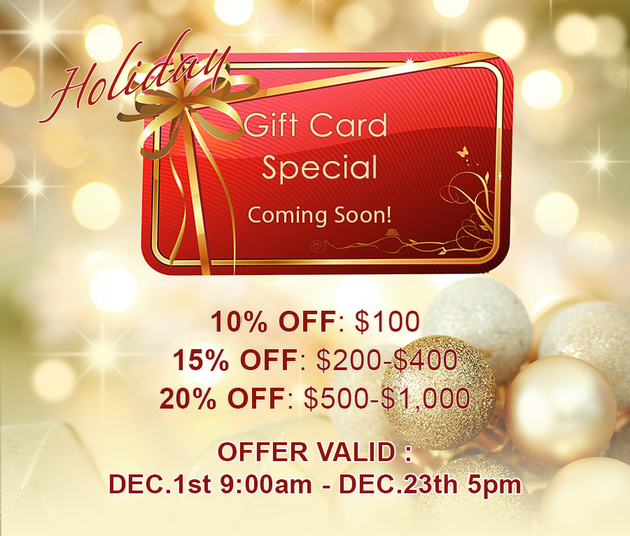 Holiday Gift Card Special